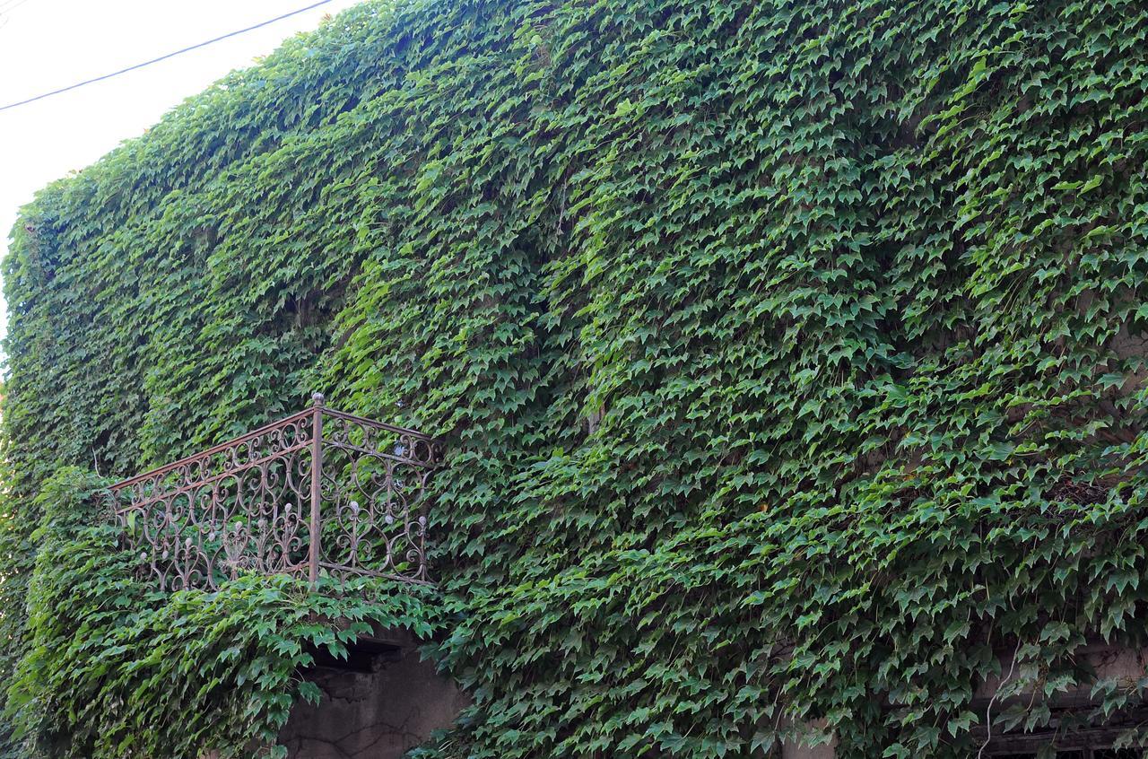 Old Walls 1 Тбилиси Екстериор снимка